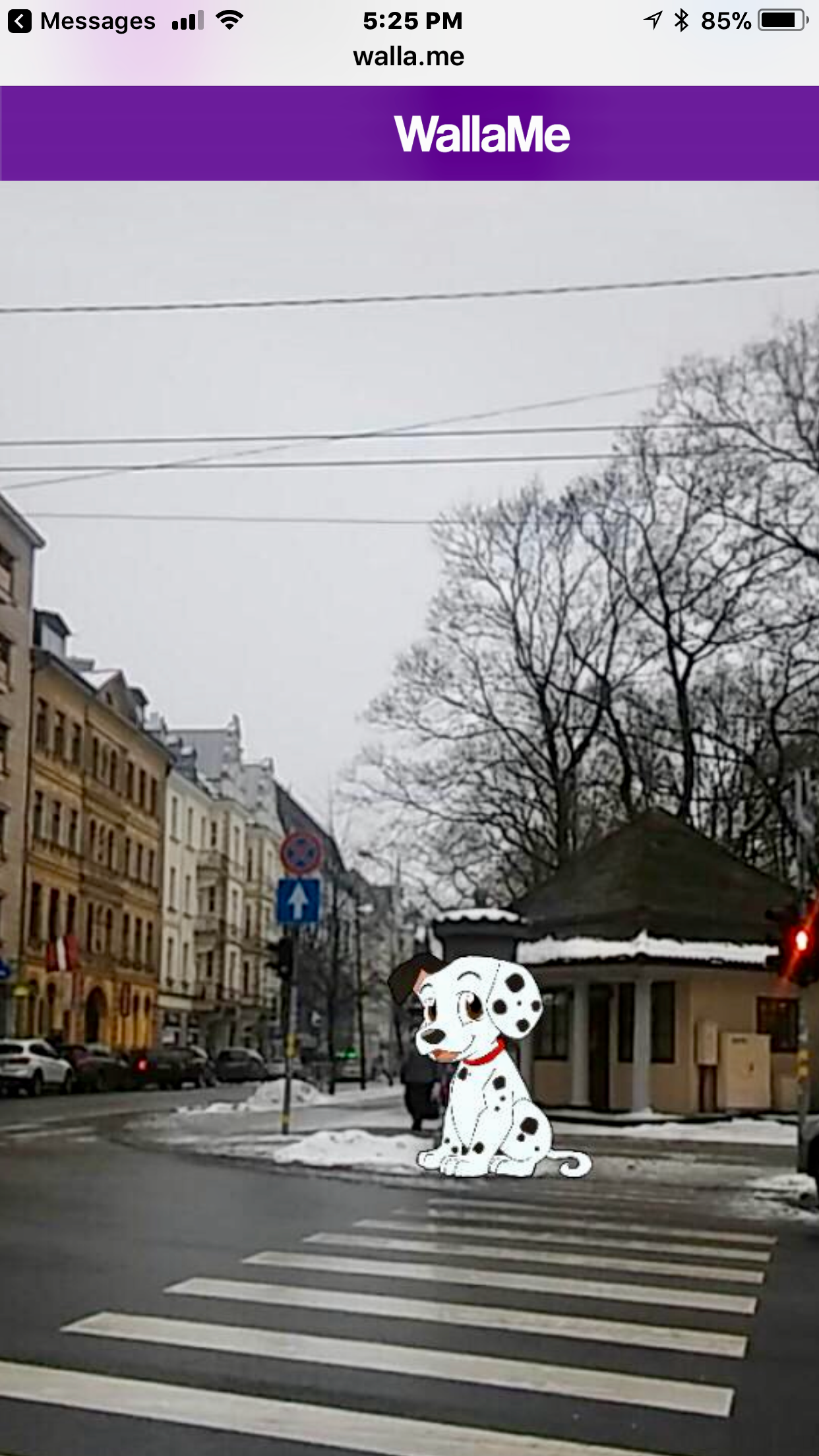 A dalmation in Riga